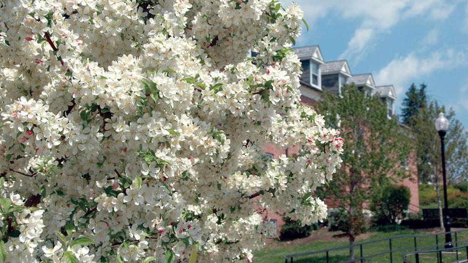 Top Things To See And Do In Frostburg Visit Maryland