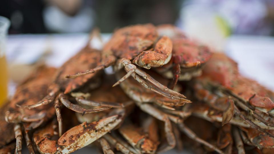 Great Places To Eat Blue Crab Visit Maryland Crabs At Crab Claw St Michaels