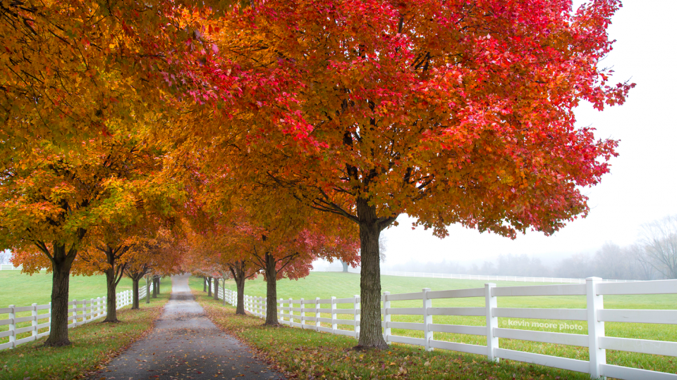 Take a Maryland Fall Foliage Trip Visit Maryland