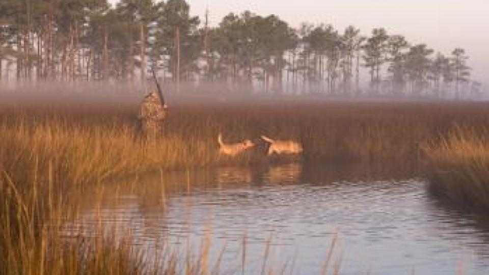 Deer Movement Chart Maryland