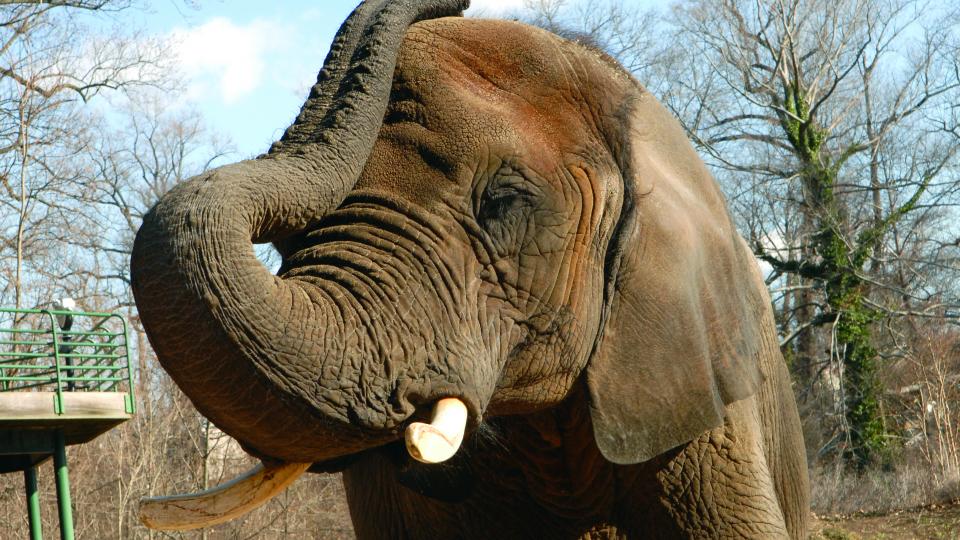 Zoos and Discovery Centers | Visit Maryland