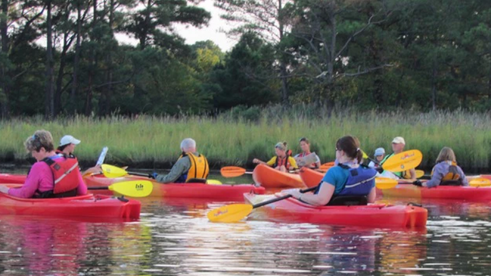 Sweet 16! Top Things to do on the Kent Narrows Waterfront Visit Maryland