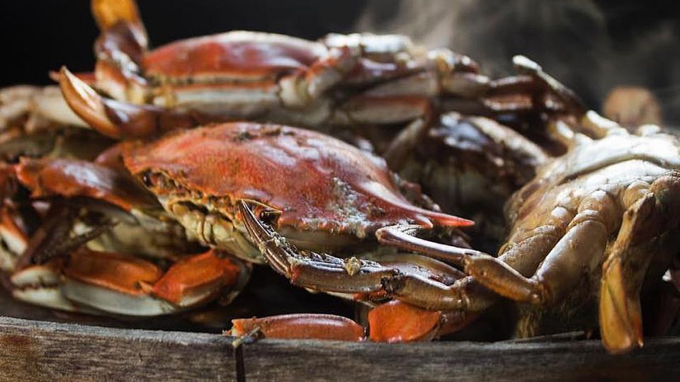 Outdoor Dining Carry Out Visit Maryland