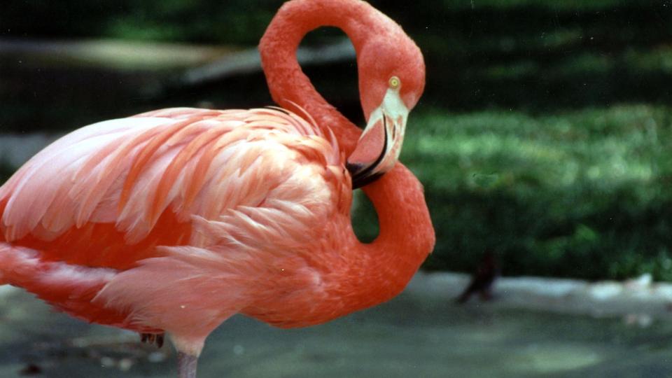 25 Free Or Nearly Free Things To Do In Maryland Visit