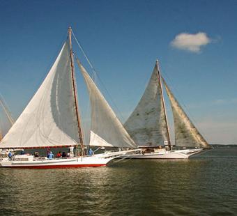 Skipjack Race