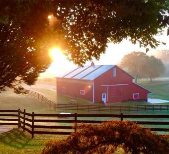 Red barn at vineyard
