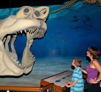 Calvert Marine Museum-Mason & Chandra  at  Megalodon-model