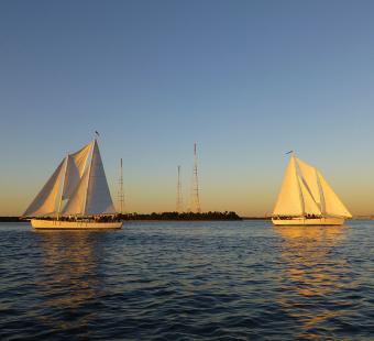 Schooner Woodwind