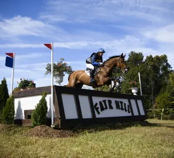 Horse jumping a fence