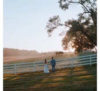 wedding couple at horse farm