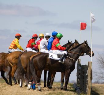 Horses at the start of Elkridge Point to Point
