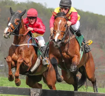 horses jumping fence
