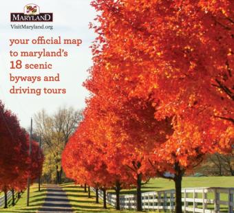 A fall view of a scenic byway lined with beautiful trees and white fence