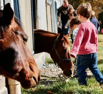 Potomac Horse Center