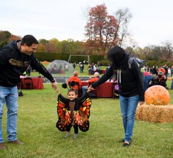 Ladew Topiary Gardens