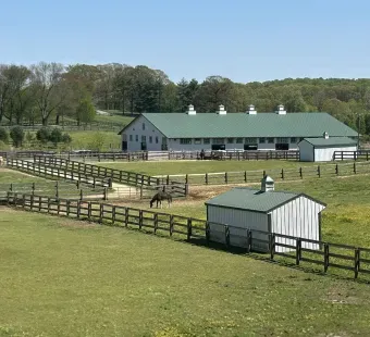 Maryland Therapeutic Riding