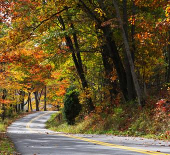 Scenic Road with Fall Foliage