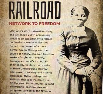 8829-Image.jpg?cb=266