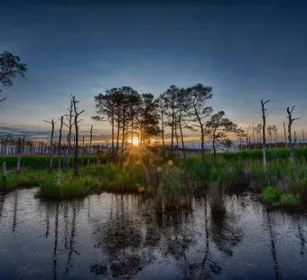 Blackwater National Wildlife Refuge at Sunrise