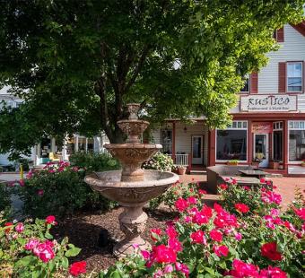 fountain, flowers and shops
