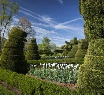 Meander through 22 acres of topiary gardens, tour Harry Ladew's historic Manor House, or saunter along the Nature Walk to appreciate the beauty and charm of Ladew Gardens.