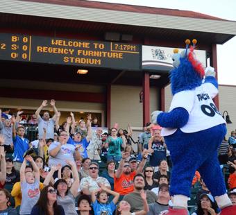 Fans at a Southern Maryland Blue Crabs Game Cheer with Mascot