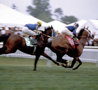 Horse racing  in Maryland