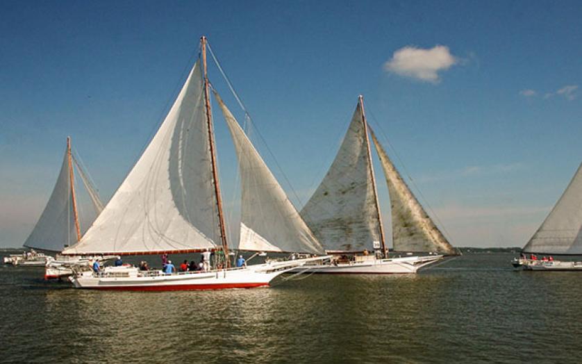 Skipjack Race
