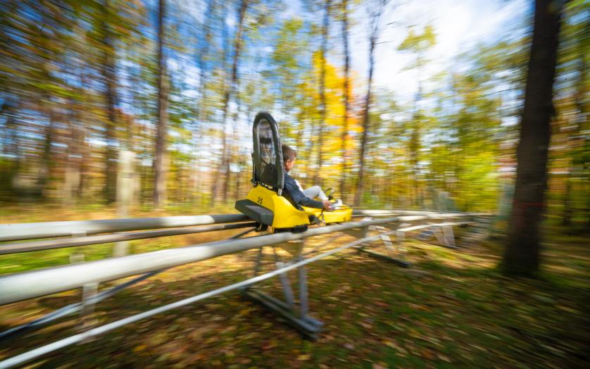 Mountain Coaster at Wisp