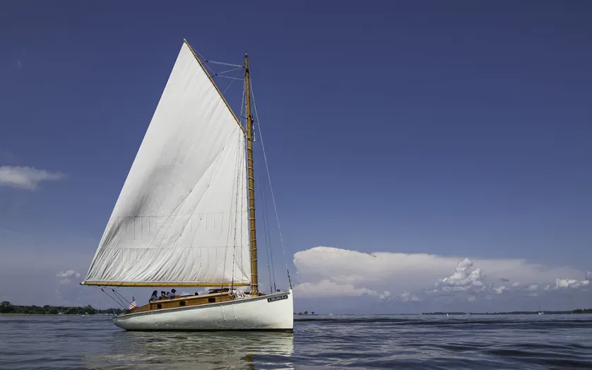 Sail Selina II