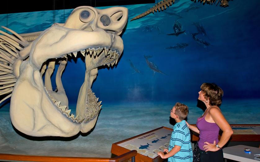 Calvert Marine Museum-Mason & Chandra at Megalodon-model