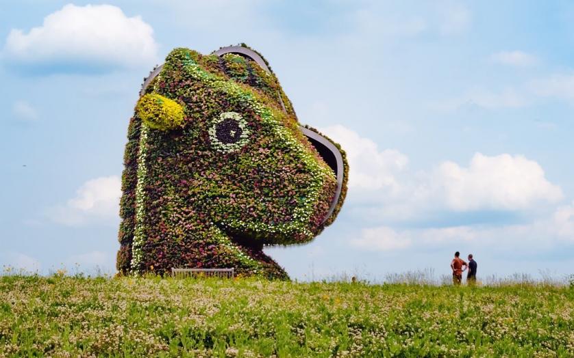 Split Rocker sculpture in full glory on the crest of a clover-covered hill.