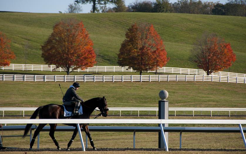 Horse and rider at Sagamore Farm