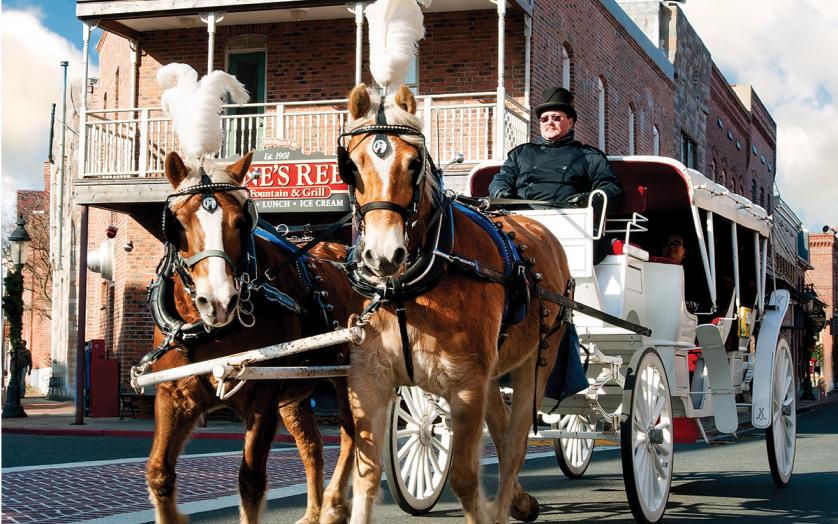 horse & carriage