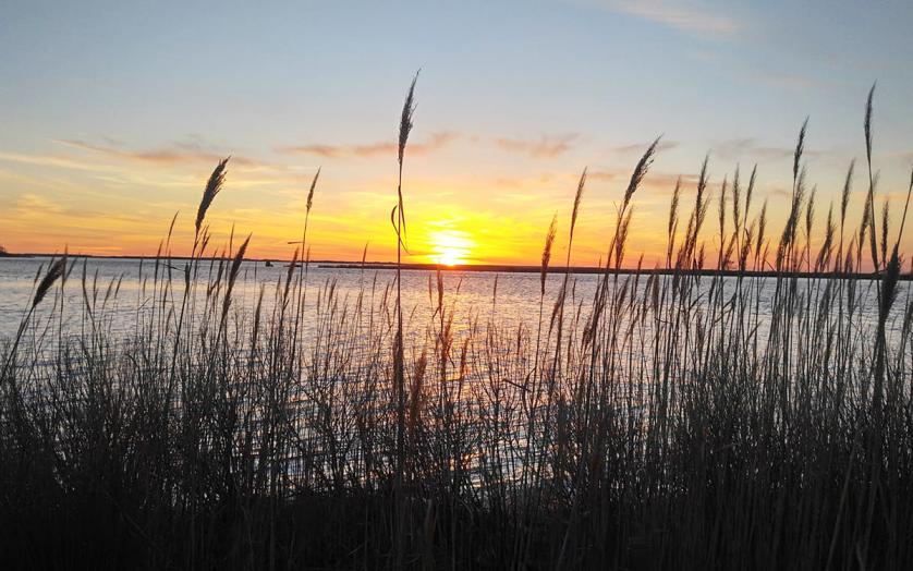 Eastern Neck Wildlife Refuge