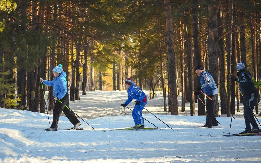 Group of people Cross-Country Skiing in Allegany County