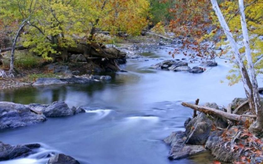 North Branch of the Potomac River