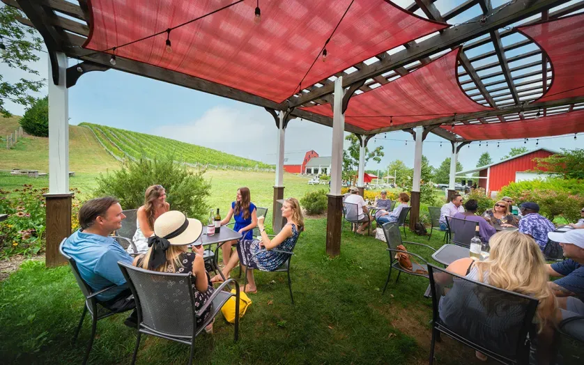 Wine Festival in Frederick