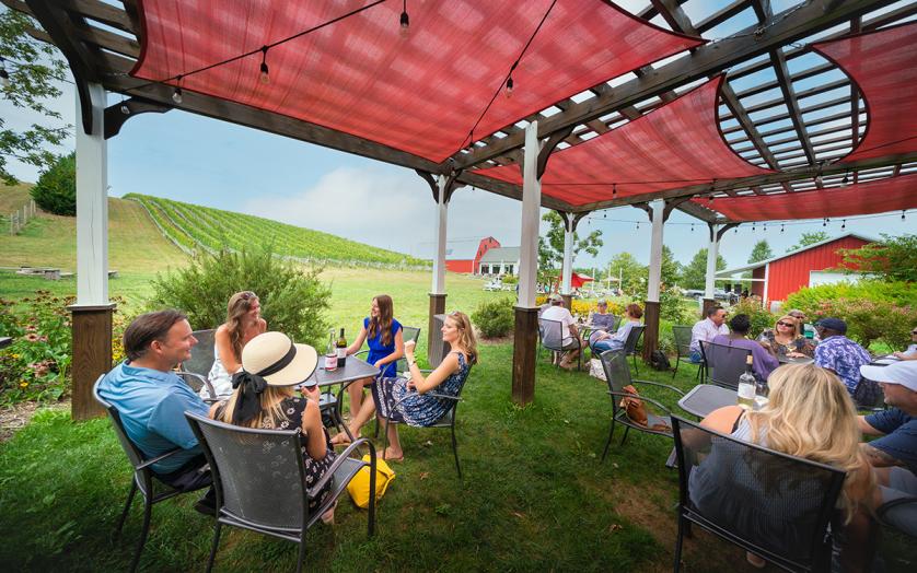 Wine Festival in Frederick