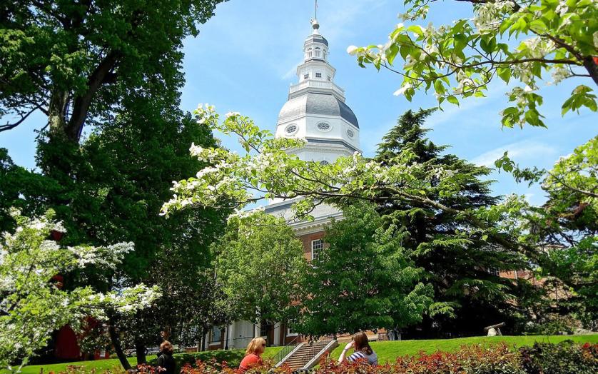 Capitol Dome in Spring