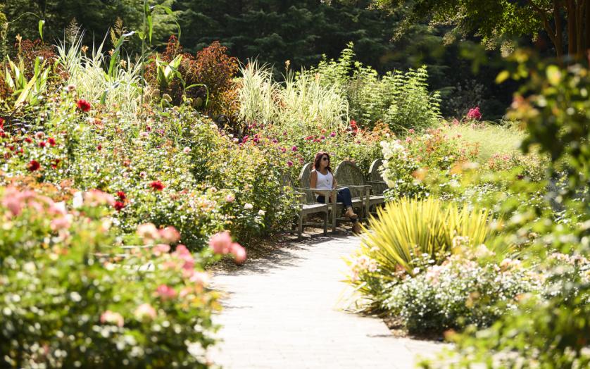 Brookside Gardens Pathway with Visitors