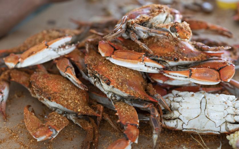 Pile of Crabs at Waterman's