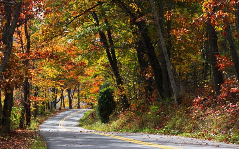 Scenic Road with Fall Foliage