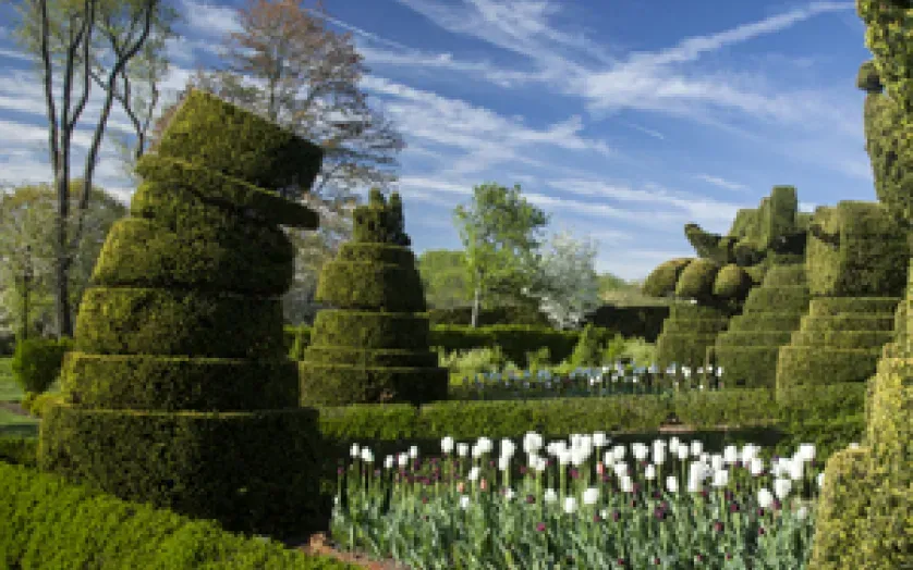 Ladew Gardens in spring