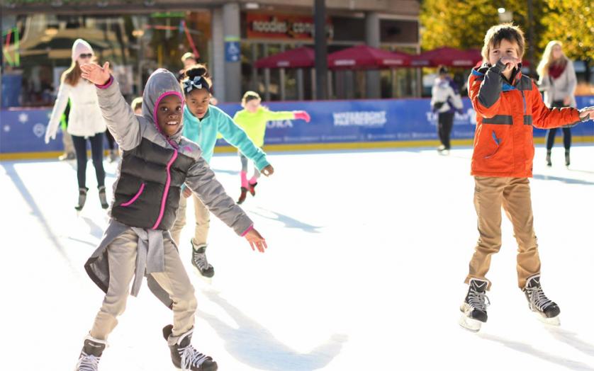 Ice skaters