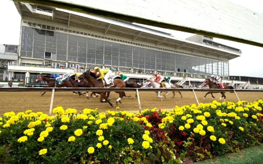 Horses racing