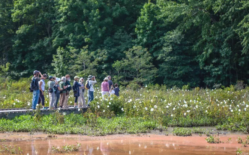 Birdwatchers