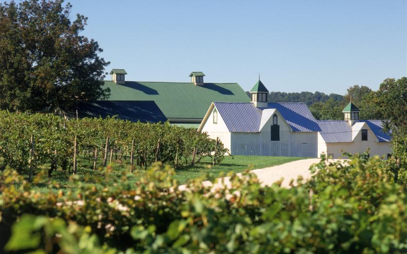 Boordy Vineyards