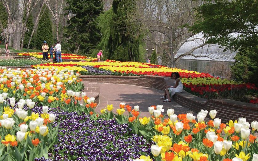 Sublime Springtime Events Visitmaryland Org Sublime Springtime Events Visitmaryland Org