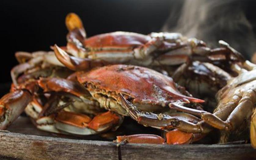 Enjoy a crab feast